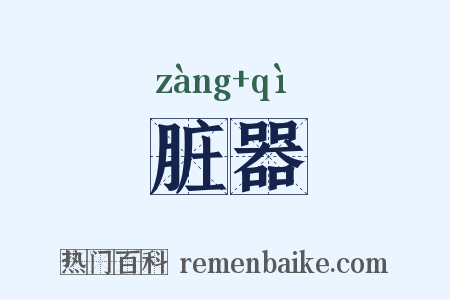 脏器是什么意思的图片